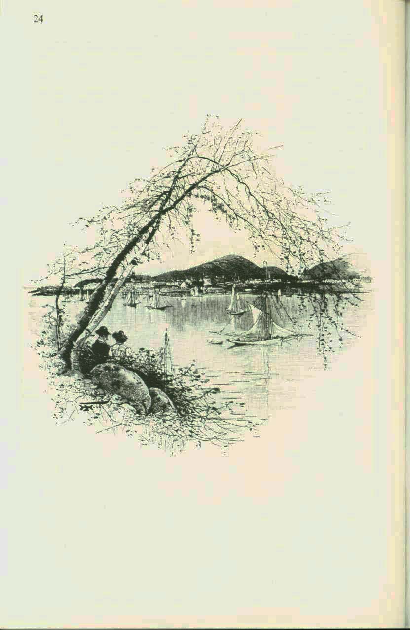 Mount Desert, 1872: an early history of the Maine island that is now Acadia National Park. vist0029i